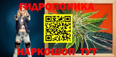 молекула духа Кандалакша