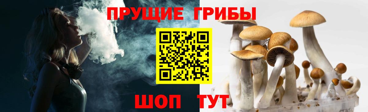 наркошоп  Псилоцибиновые грибы Magic Shrooms  Вход с VPN  Коряжма 